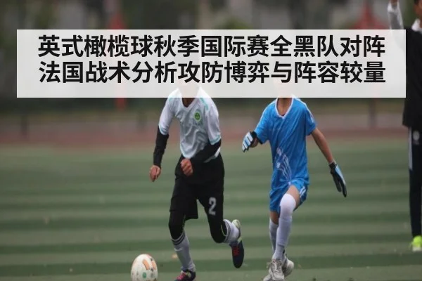 英式橄榄球秋季国际赛全黑队对阵法国战术分析攻防博弈与阵容较量