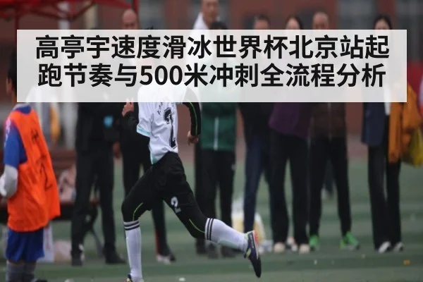高亭宇速度滑冰世界杯北京站起跑节奏与500米冲刺全流程分析
