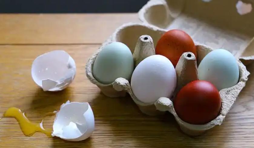 s15外围-每天一个水煮蛋是“死亡催化剂”？提醒：想健康吃蛋，5个错别犯